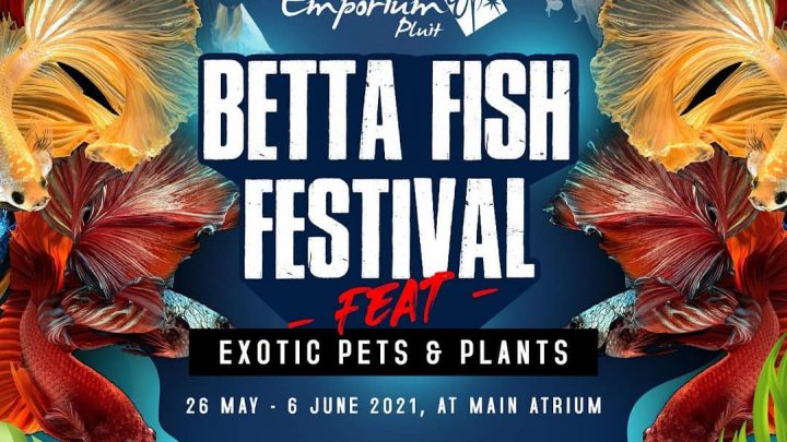 BETTA FISH FESTIVAL feat Exotic Pets & Plants