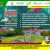 MALANG CITY EXPO 2022 PAMERAN HYBRID (OFFLINE/ONLINE)