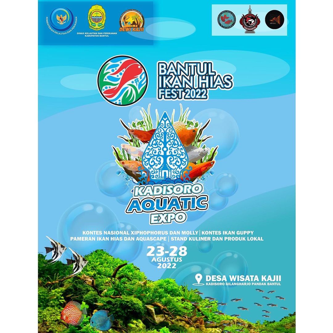 Bantul Ikan Hias Fest 2022