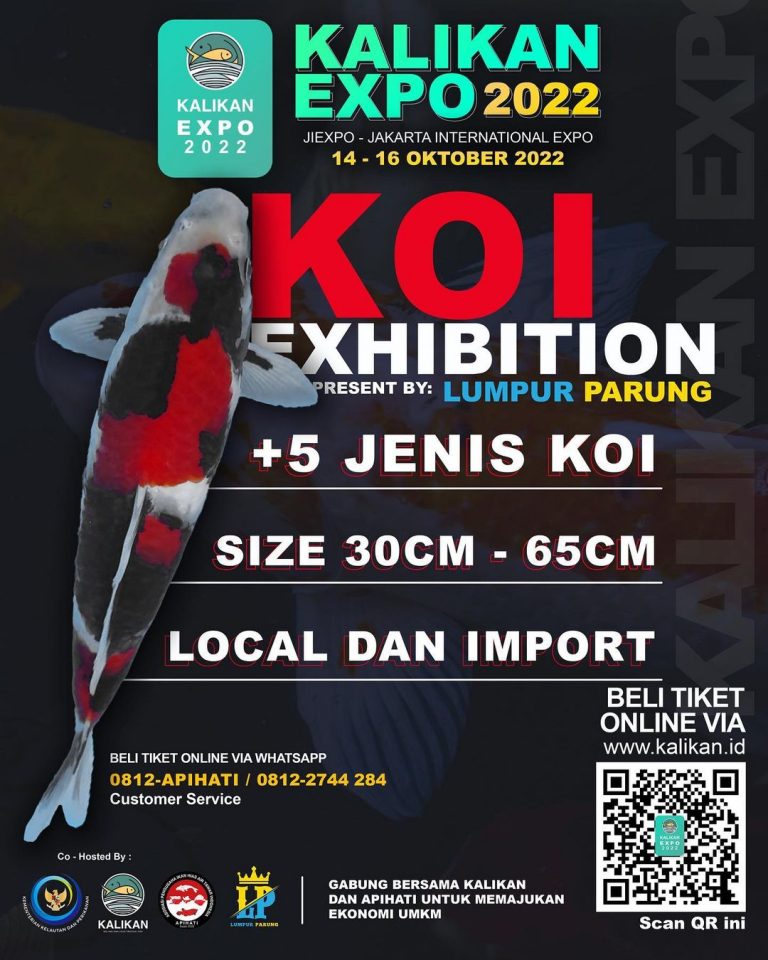 Lomba KOI – Jadwal Event, Info Pameran, Acara & Promo Terbaru